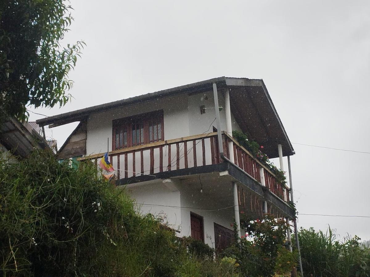 Cozy Heaven Διαμέρισμα Νουβάρα Ελίγια Εξωτερικό φωτογραφία