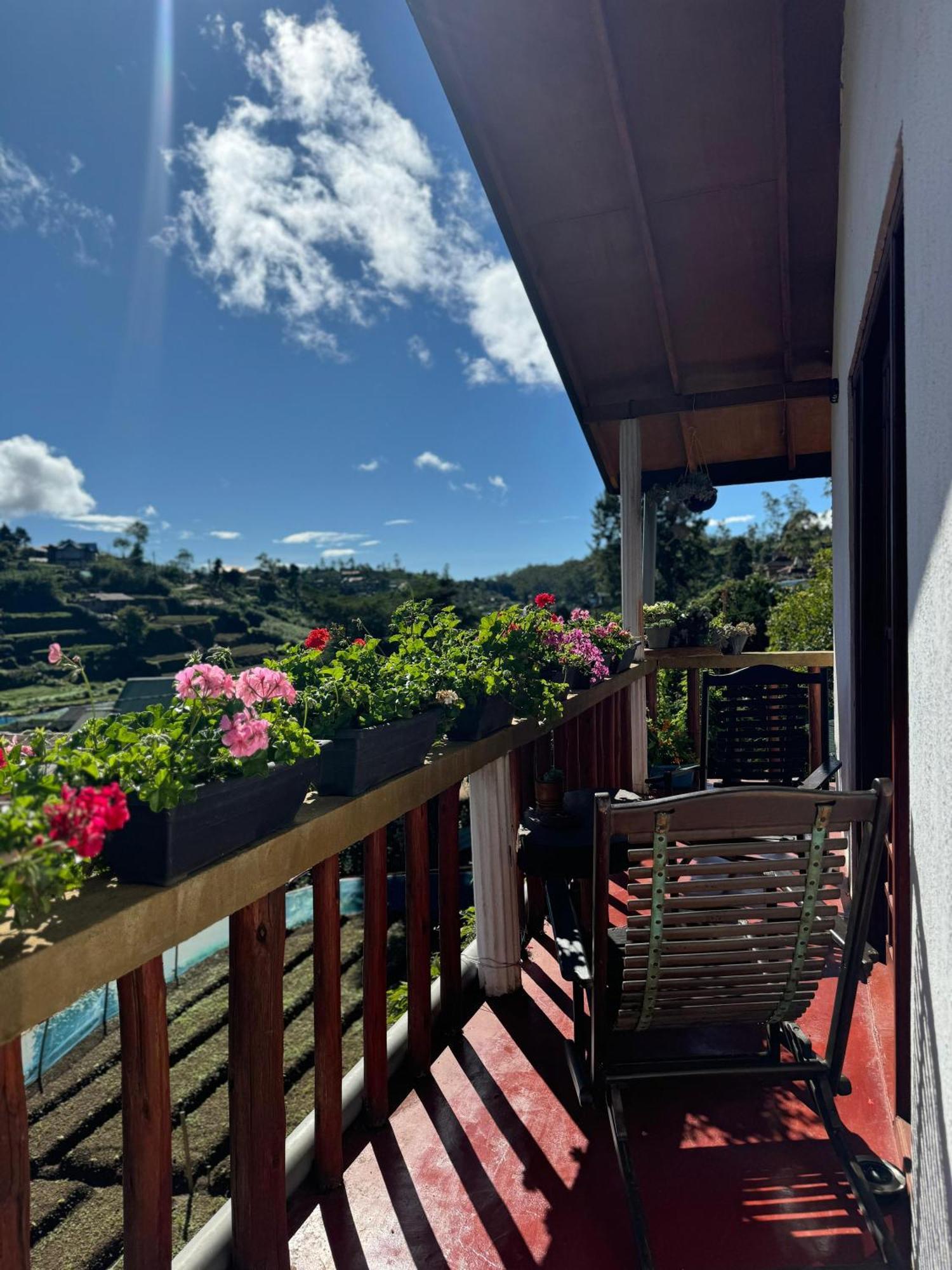 Cozy Heaven Διαμέρισμα Νουβάρα Ελίγια Εξωτερικό φωτογραφία